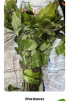 Oha leaves 1